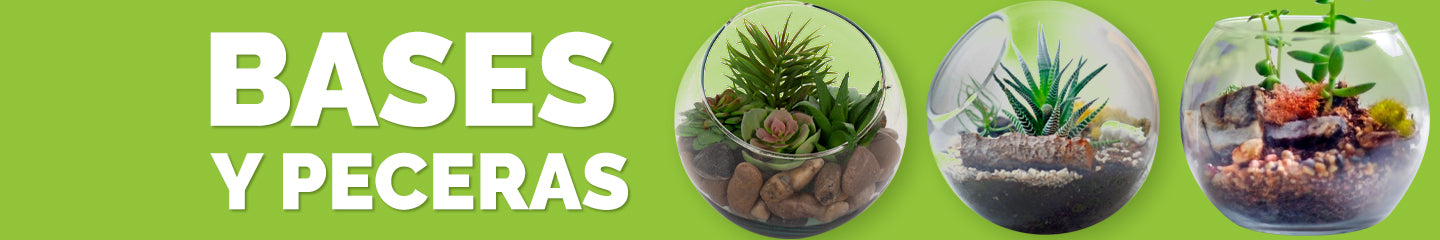 Bases y Peceras