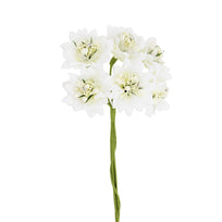 Art.4030 Crisantemo Fino  X6