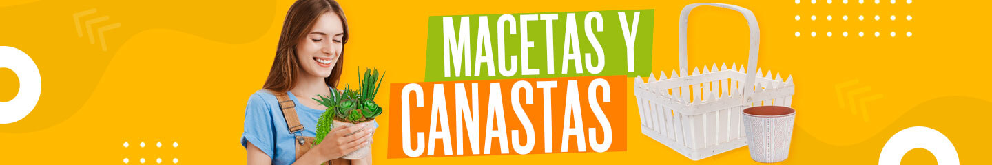 Fantasías Miguel Macetas y Canastas