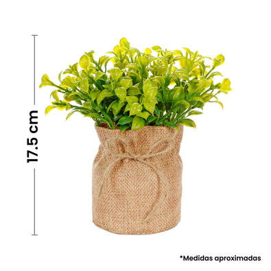 Fantasías Miguel Art.10539 Planta Base De Yute 17.5cm 1pz