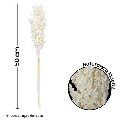 Fantasías Miguel Art.11098 Vara Sorgo 50cm 1pz