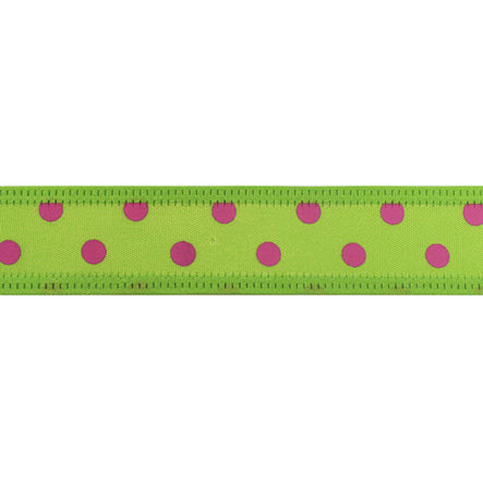 Art.11322 Listón Fino Con Puntos