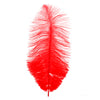 image variant Rojo