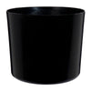 image variant Negro