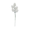 image variant Blanco