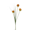image variant Naranja