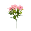 image variant Rosa