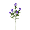 image variant Morado