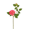 image variant Rosa