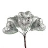 image variant Plata