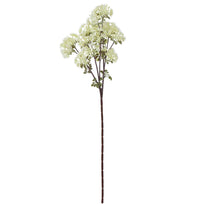 Art.3290 Ramo Planta