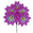 Fantasías Miguel Art.3731 Dalia x5 Flores 30cm 1pz Morado