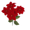 image variant Rojo