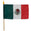 Fantasías Miguel Art.5399 Bandera De México Chica 33x28cm 1pz Tricolor