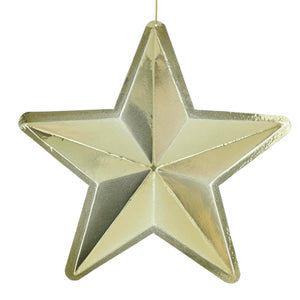 Art.5556 Estrella 3d Metalizada 26cm