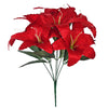 image variant Rojo