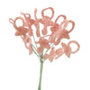 image variant Rosa Claro