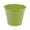 image variant Verde