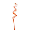 image variant Naranja