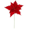 image variant Rojo