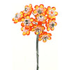 image variant Naranja