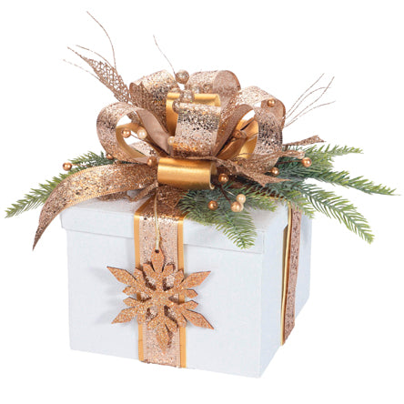 Caja Regalo Navideña