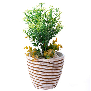 Maceta Con Cordón Macramé