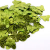image variant Verde Limon