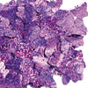 image variant Morado Laser