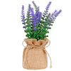 image variant Lavanda