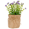 image variant Lavanda