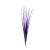 image variant Morado