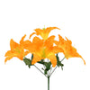 image variant Naranja