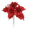 image variant Rojo