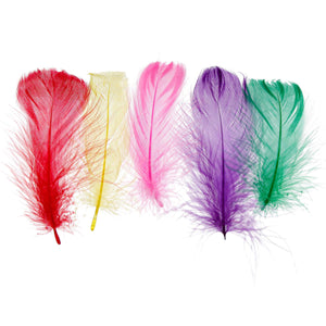 Art.2419 Plumas De Ganzo 3-8cm B/10g