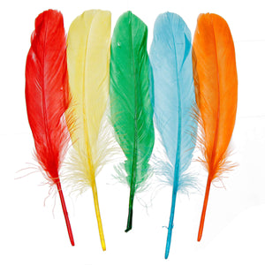 Art.2430 Plumas De Ganzo 15-22cm B/20pc