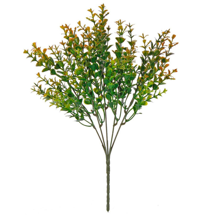 Art.2563 Plantita x5 Color Especial