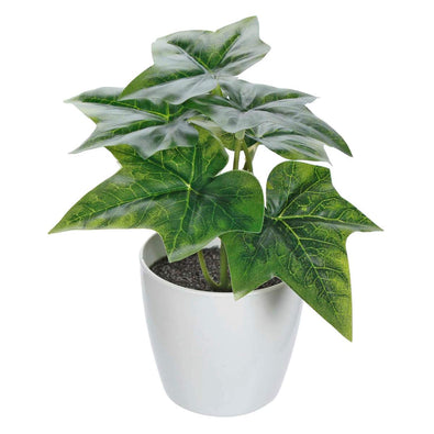 Fantasías Miguel Art.262 Mini Planta Con Maceta 17cm 1pz