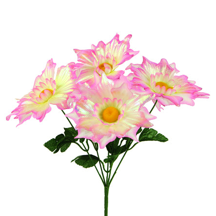 Art.2973 Bush Chico Galaxia Iris X6