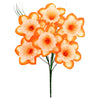 image variant Naranja