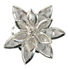 image variant Plata/Cristl