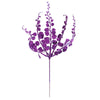 image variant Morado
