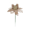 image variant Champaña