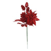 image variant Rojo