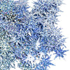image variant Azul Laser