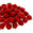 Fantasías Miguel Art.5905 Pom Pom Metálico/Iris 19mm 100pz Rojo