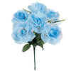 image variant Azul Claro