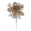 Fantasías Miguel Art.6852 Pick Piñas Con Hojas 17cm 1pz Champaña