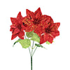 image variant Rojo