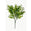 Fantasías Miguel Art.9114 Planta Fina x5 36cm 1pz Verde